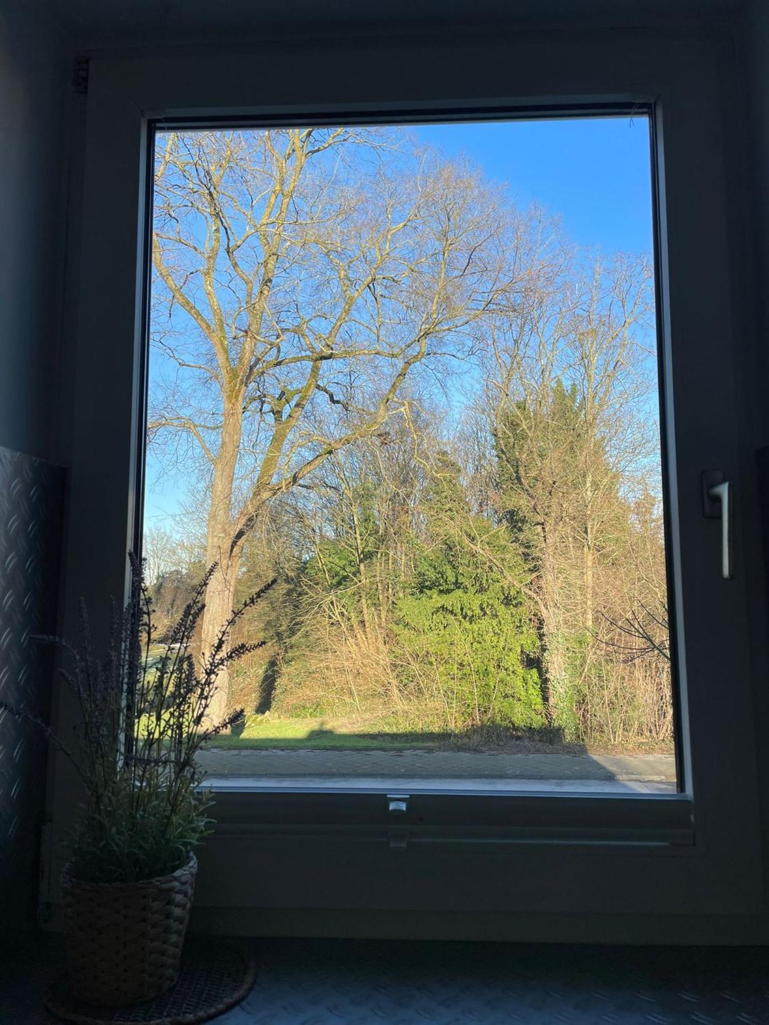 Ideale Unterkunft In Duesseldorf-Nord Kültér fotó